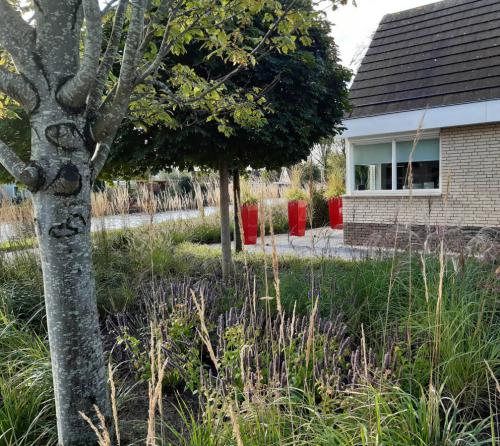 hoveniersbedrijf-dijkstra-scharsterbrug-tuinaanleg-project-02